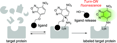 Turn-ON fluorescent affinity labeling using a small bifunctional O-nitrobenzoxadiazole unit