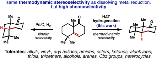 Simple, Chemoselective Hydrogenation with Thermodynamic Stereocontrol