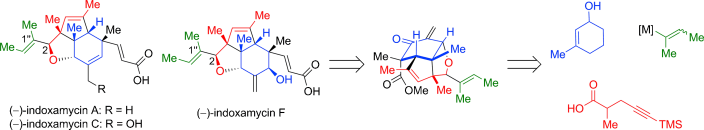 Divergent Total Synthesis of Indoxamycins A, C, and F