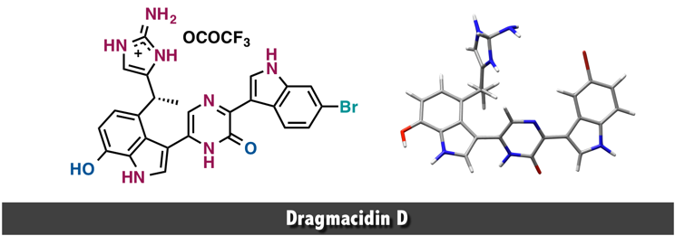 Dragmacidin D