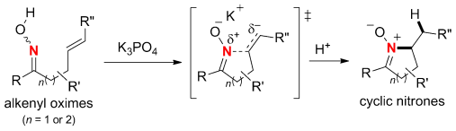 Inorganic-Base-Mediated Hydroamination of Alkenyl Oximes for the Synthesis of Cyclic Nitrones