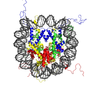 768px-Nucleosome_1KX5_colour_coded