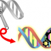 Installing artificial nucleotide bases in DNA