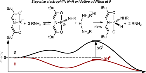 Intermolecular N−H Oxidative Addition of Ammonia, Alkylamines, and Arylamines to a Planar σ3‑Phosphorus Compound via an Entropy-Controlled Electrophilic Mechanism