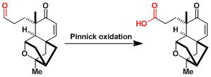 pinnick_4[1]
