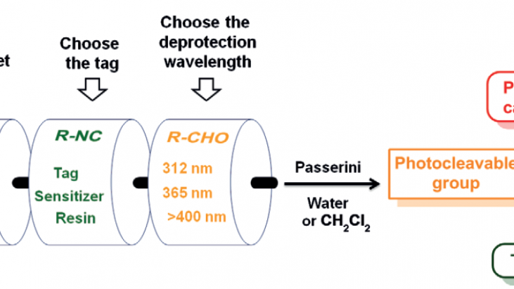 Photocaging of Carboxylic Acids: A Modular Approach