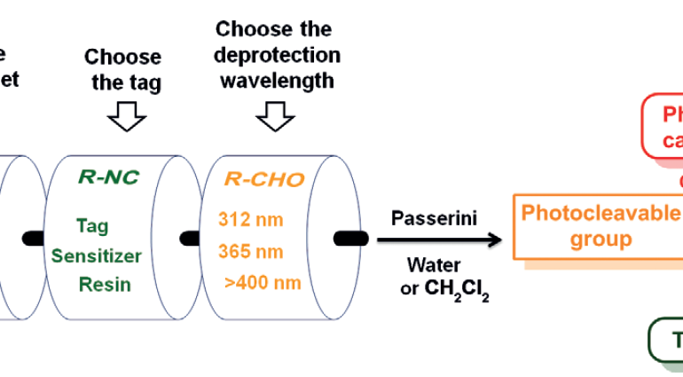 Photocaging of Carboxylic Acids: A Modular Approach