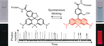 A spontaneously blinking fluorophore based on intramolecular spirocyclization for live-cell super-resolution imaging