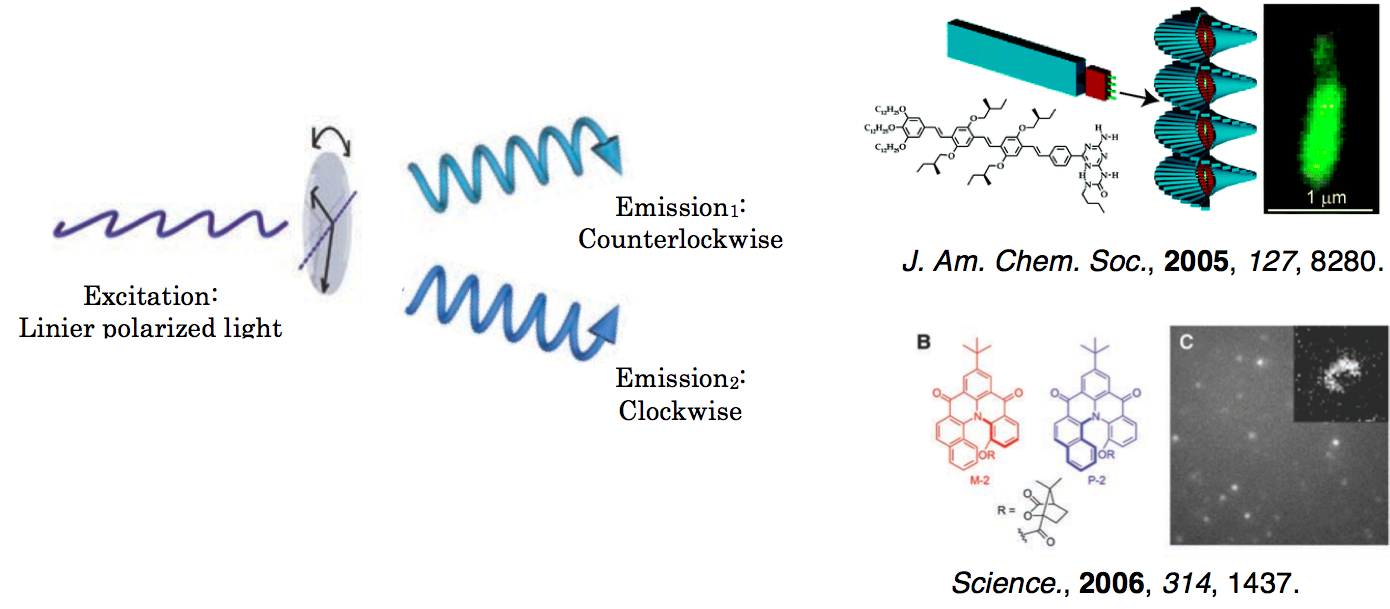 Circularly Polarized Luminescence by Visible-Light Absorption in a ...