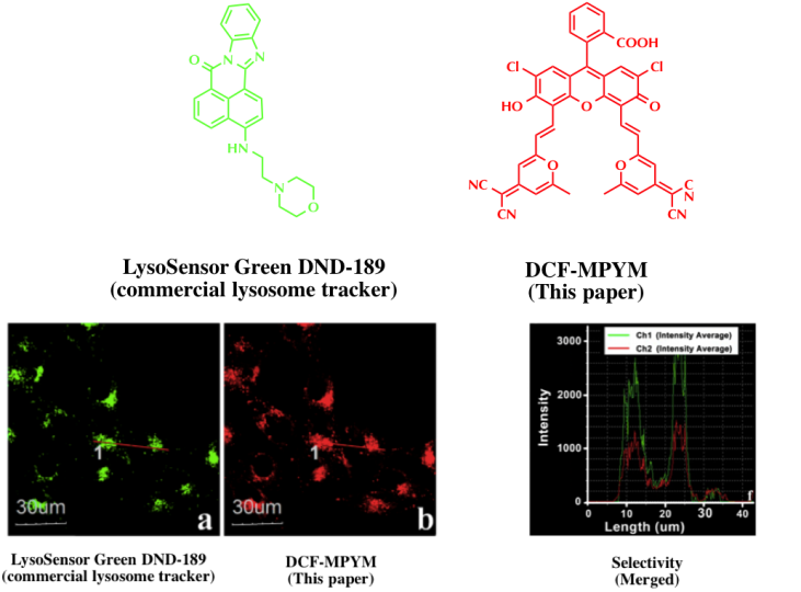 Thermally Activated Delayed Fluorescence Of Fluorescein Derivative For ...