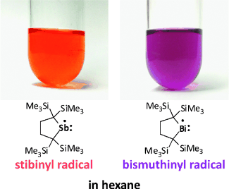 Persistent Antimony- and Bismuth-Centered Radicals in Solution