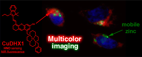 A Fast and Selective Near-Infrared Fluorescent Sensor for Multicolor Imaging of Biological Nitroxyl (HNO)