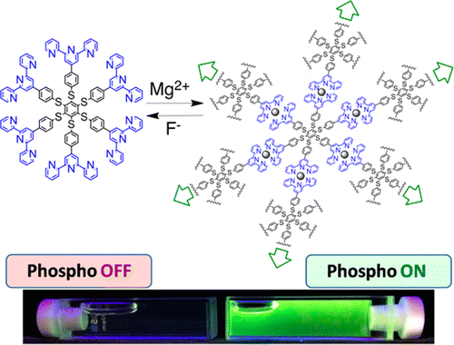 Turn-on Phosphorescence by Metal Coordination to a Multivalent Terpyridine Ligand: A New Paradigm for Luminescent Sensors