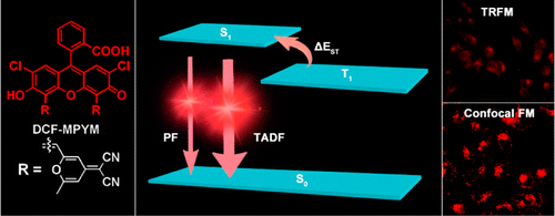 Thermally Activated Delayed Fluorescence of Fluorescein Derivative for Time-Resolved and Confocal Fluorescence Imaging