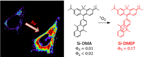 Far-Red Fluorescence Probe for Monitoring Singlet Oxygen during Photodynamic Therapy