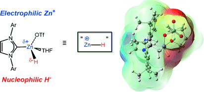 Accessing Zinc Monohydride Cations through Coordinative Interactions