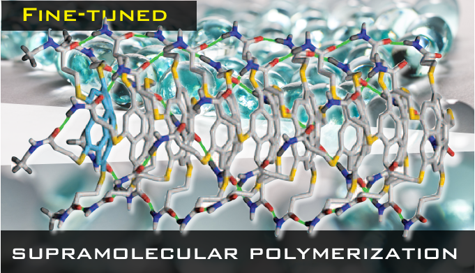 Fine-tuned Supramolecular Polymerization