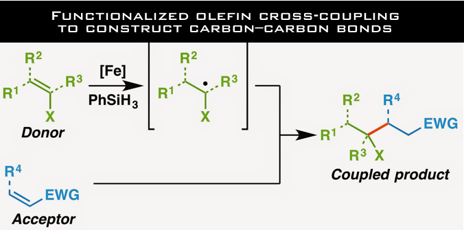 Cross-coupling of functionalized olefins