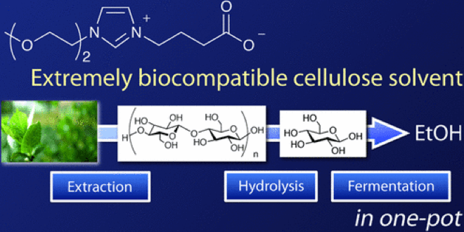 Extremely Biocompatible Solvent for Biomass: The Development of Carboxylate-type Zwitterionic Liquid
