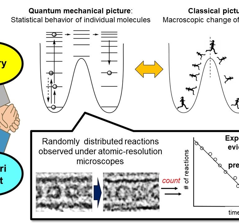 Experimental Evidence of Quantum Mechanical Reaction Kinetics: Fullerene Dimerization Studied Under Microscopes