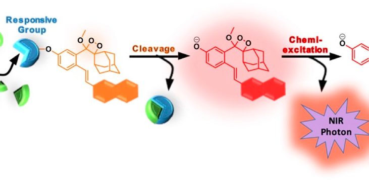 Near-Infrared Dioxetane Luminophores with Direct Chemiluminescence Emission Mode