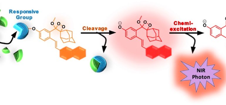 Near-Infrared Dioxetane Luminophores with Direct Chemiluminescence Emission Mode