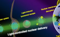 Development of a Light-Controlled Nanoplatform for Direct Nuclear Delivery of Molecular and Nanoscale Materials