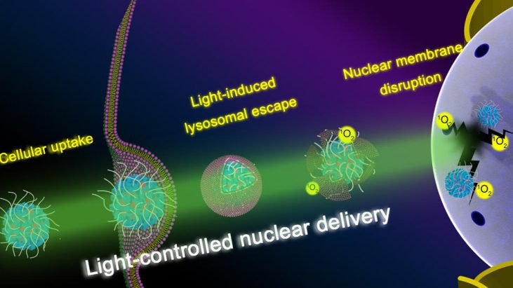 Development of a Light-Controlled Nanoplatform for Direct Nuclear Delivery of Molecular and Nanoscale Materials