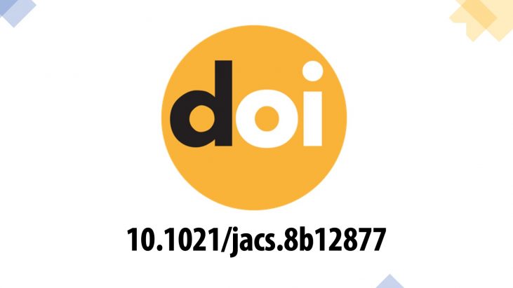 What is DOI?