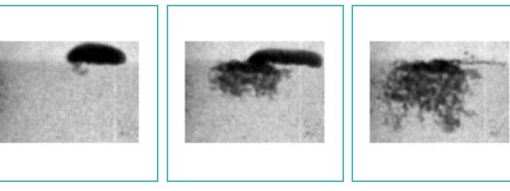 Neutron Imaging