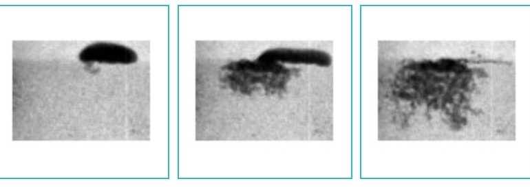 Neutron Imaging